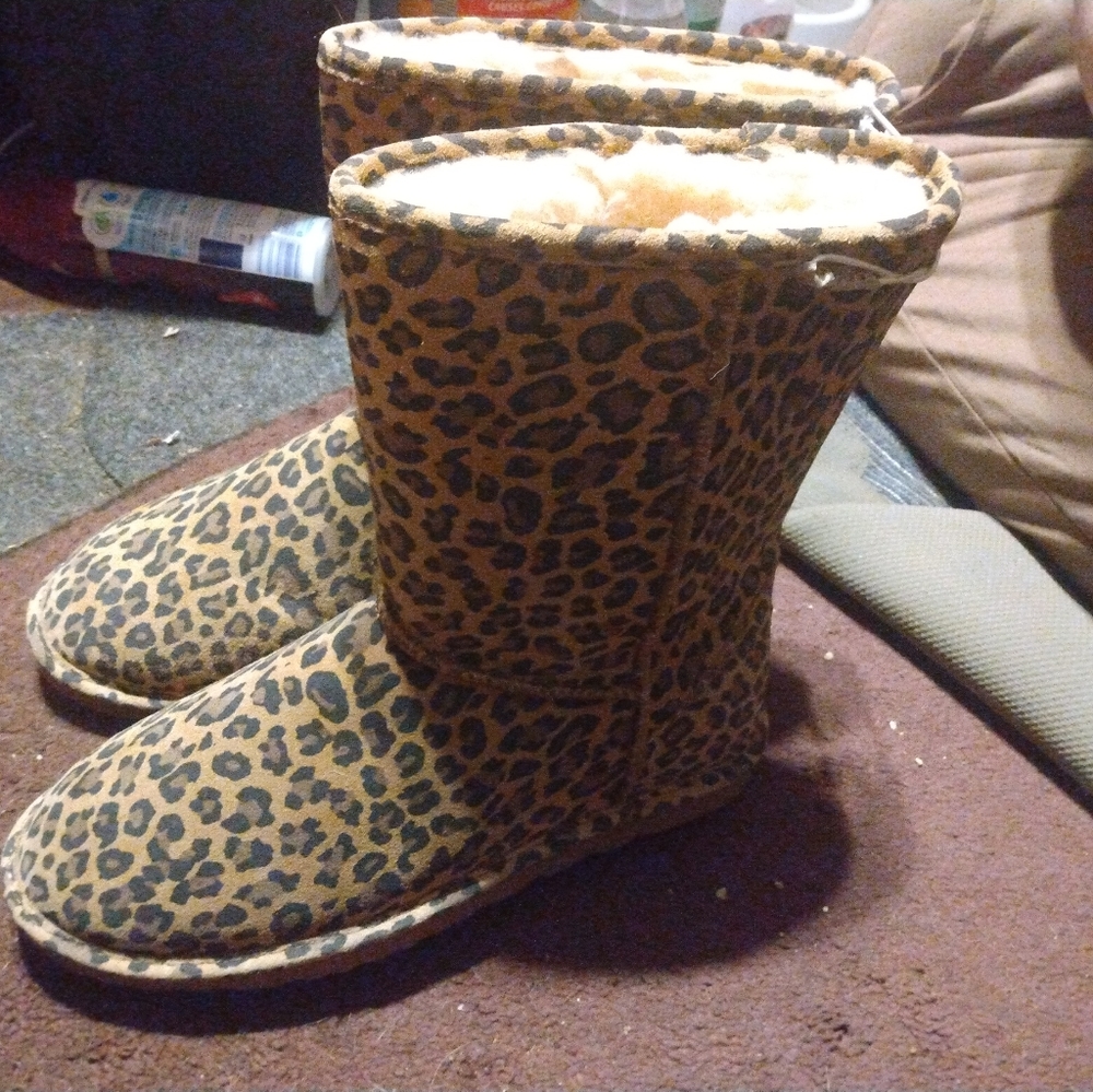 Cheetah Bear paws